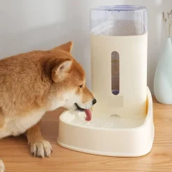 ACCECAN Dispensador de Agua Rectangular 3.5 L