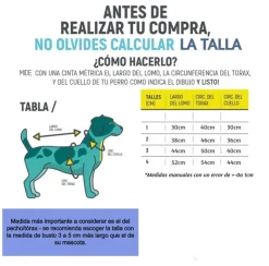 ACCECAN Ropa Felpa Diseño Conejo Lila