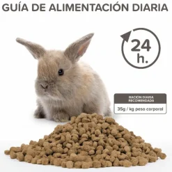 Beaphar Care+ Rabbit Junior 250 g - Alimento para Conejos Junior