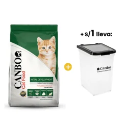 CANBO Gatitos Initial Development - Desarrollo Inicial 7 Kg