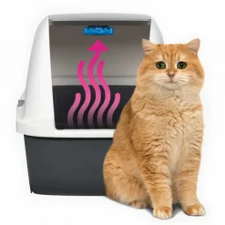 Cat It Magic Blue Pads x 6 und - Almohadillas de Repuesto Purificadores De Aire