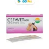 VETERLINE Cefavet 600 mg x 1 Blister(8 Und) - Antibiótico para perros y gatos