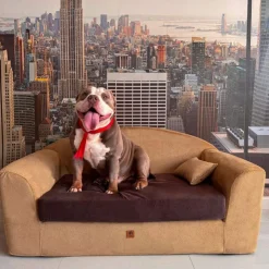 CLUB PETS Cama Confort Club Camell