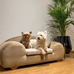 CLUB PETS Cama Sofá Cheester Club Dorado