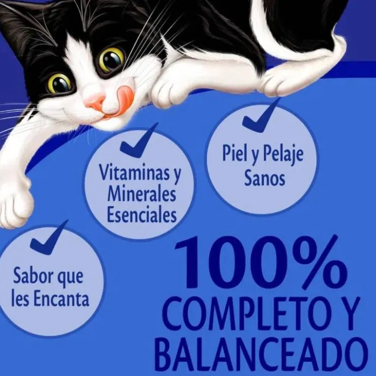 Felix Sensaciones de Carne en Salsa 85 gr