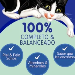 Felix Sensaciones de Sardina en Salsa 85 gr