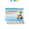 VETERLINE Gastropet 10 mg X 1 Blister (10 und) - Protector Gástrico Para Perros y Gatos