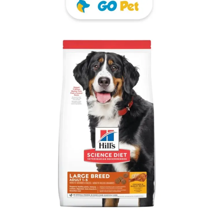 HILLS SD Canine Adult Large Breed 15 Kg