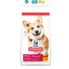 HILLS SD Canine Adult Small Bites 2 kg - Adultos - Razas Pequeñas