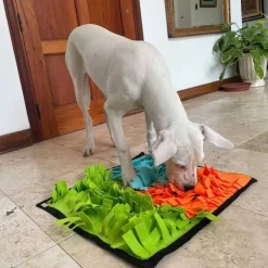 Juega con Hope Alfombra Olfativa Relax Rosado Celeste y Verde