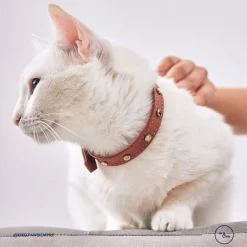 Kiki & Koko KI&KO Collar Para Gatos Kiki Nostalgia