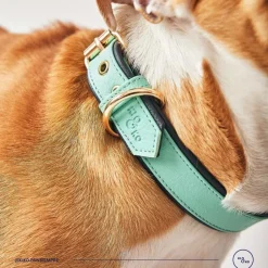 Kiki & Koko KI&KO Collar Para Perros Koko Aqua - Verde