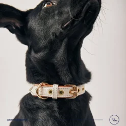 Kiki & Koko KI&KO Collar Para Perros Koko Nacar