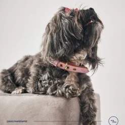 Kiki & Koko KI&KO Collar Para Perros Koko Sakura - Rosado