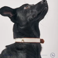 Kiki & Koko KI&KO Collar Para Perros Koko Nacar
