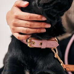 Kiki & Koko KI&KO Collar Para Perros Koko Sakura - Rosado