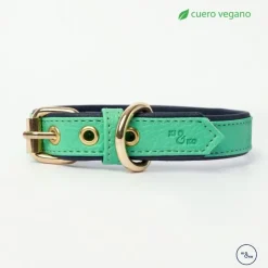 Kiki & Koko KI&KO Set Correa + Collar Aqua - Verde Agua