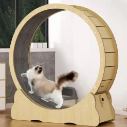 GoPet USA Kospet Rascador Rueda de Ejercicio para Gatos - Madera