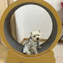 GoPet USA Kospet Rascador Rueda de Ejercicio para Gatos - Madera