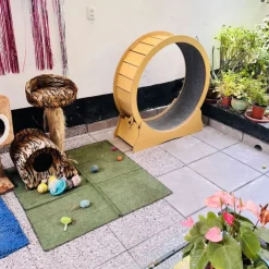 GoPet USA Kospet Rascador Rueda de Ejercicio para Gatos - Rosa