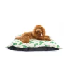 LA MASCOTERÍA DE BRENAN LMB Cama Domipet Diseño Mini Cactus