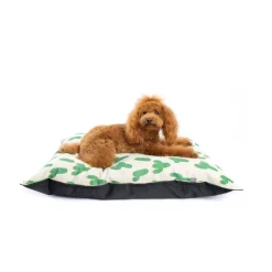 LA MASCOTERÍA DE BRENAN LMB Cama Domipet Diseño Mini Cactus