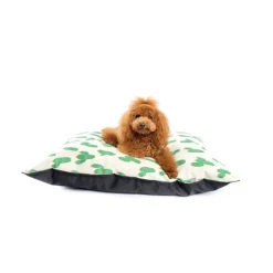 LA MASCOTERÍA DE BRENAN LMB Cama Domipet Diseño Mini Cactus