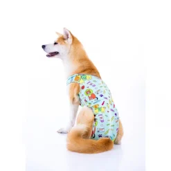 LA MASCOTERÍA DE BRENAN LMB Faja Post Operatoria Perros Machos Verde con Caricaturas