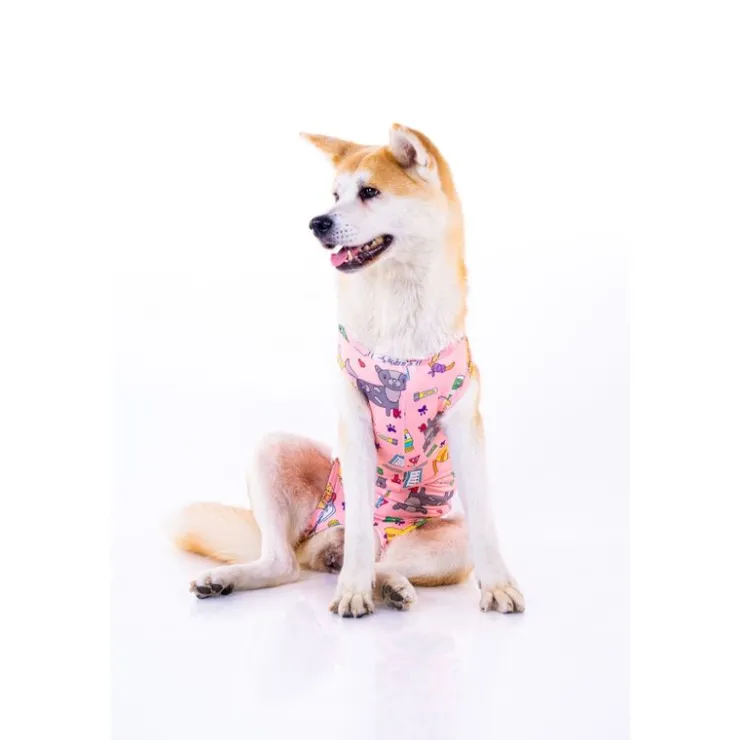 LA MASCOTERÍA DE BRENAN LMB Faja Post Operatoria Perros Hembra y Gatos Caricaturas Rosa