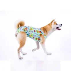 LA MASCOTERÍA DE BRENAN LMB Faja Post Operatoria Perros Hembra y Gatos Caricaturas Verde