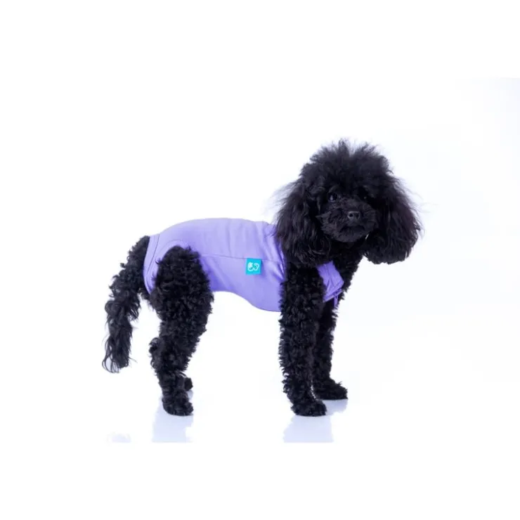 LA MASCOTERÍA DE BRENAN LMB Faja Post Operatoria Perros Hembra y Gatos