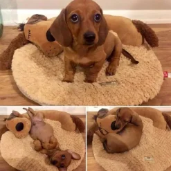 GoPet USA Ludipek Gigwi Cojín Cama Forma de Perro Snoozy Friends 3D