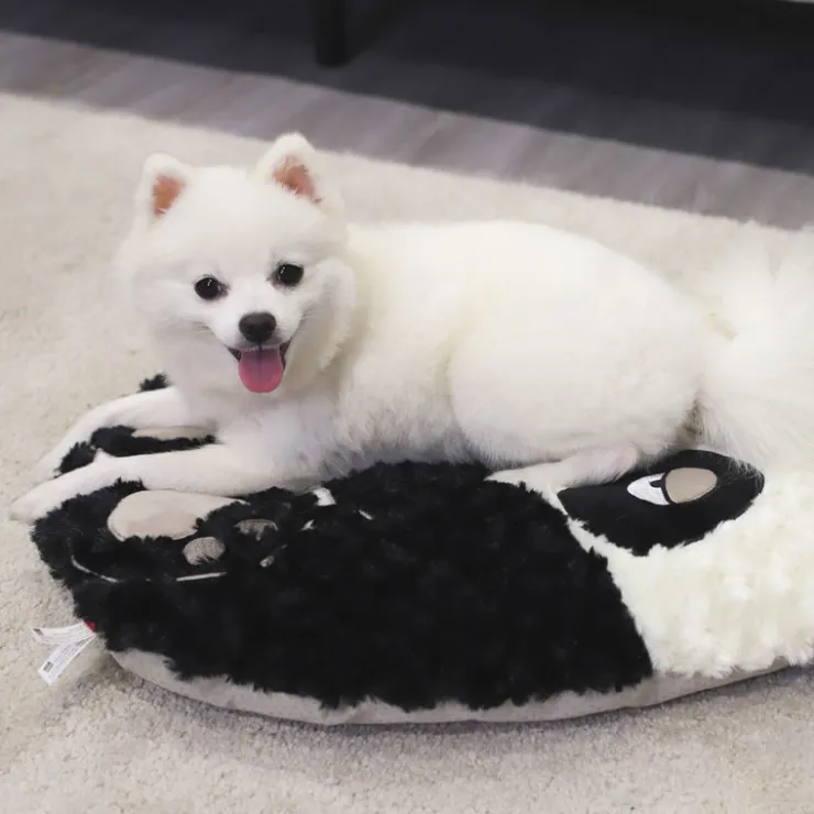 GIGWI Ludipek Cojín Cama Panda Snoozy Friends