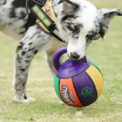 GoPet USA Ludipek Gigwi JUMBALL Pelota de Basket con Mango de Goma S
