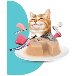 Moochie Cat Benefits Digestive Care Paté Pouch 70 Gr - Cuidado Digestivo - Anchoas