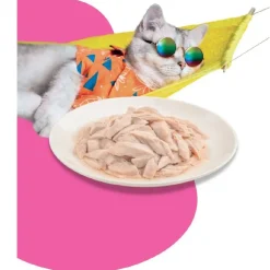 Moochie Cat Meaty Tuna in Gravy Pouch 70 Gr - Atún en Salsa - Gato Adulto