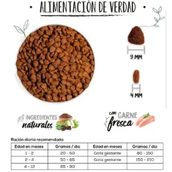 Ownat Classic Kitten Gatito 1.5 Kg - Gatitos - Pollo