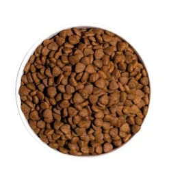 Ownat Classic Kitten Gatito 1.5 Kg - Gatitos - Pollo