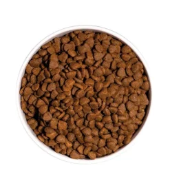 Ownat Just GF Gato Adulto 8 Kg - Gato Adulto - Libre de Granos