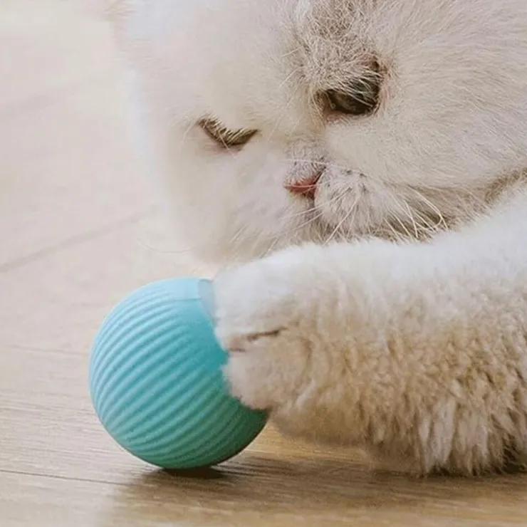 Sin Marca Pelota Rodante Automatica Con Luz Led Celeste