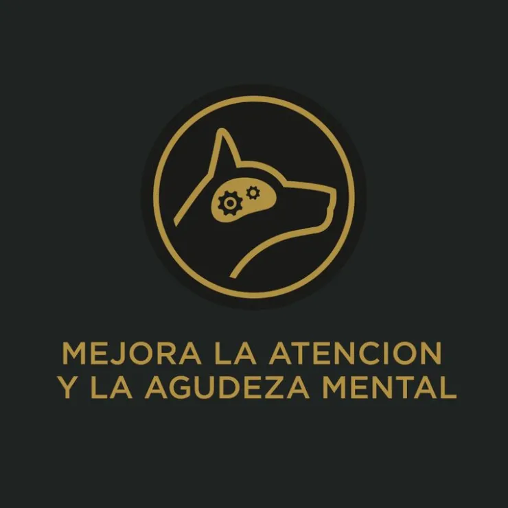 Pro Plan Adult 7+ Active Mind 3Kg - Adulto Raza Med/Grande Mayor de 7 años