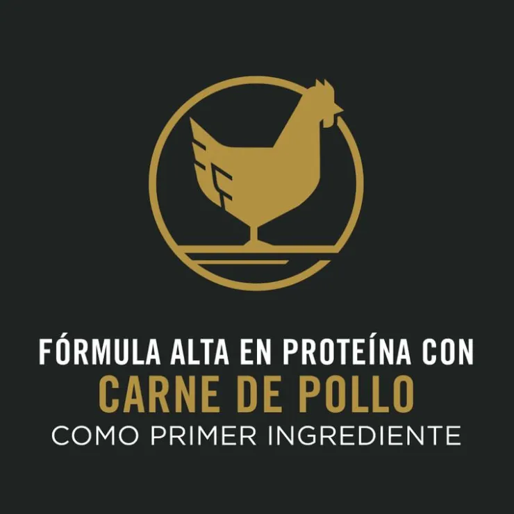 Pro Plan Adult 7+ Active Mind 15 Kg - Adulto Raza Med/Grande Mayor de 7 años