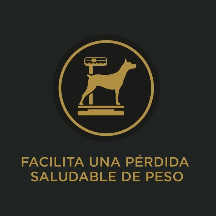Pro Plan Adult Reduced Calories 12 Kg - Adulto Raza Med/Grande Bajo en Calorías