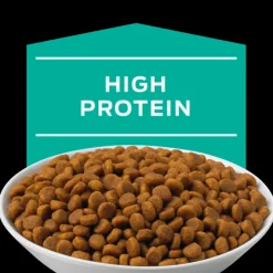 Pro Plan Veterinary Diets Feline EN Gastrointestinal 1.5 Kg - Tratamiento Gastroentérico para Gatos