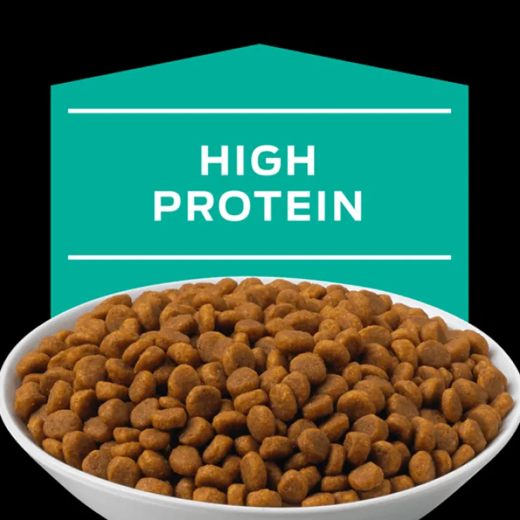 Pro Plan Veterinary Diets Feline EN Gastrointestinal 1.5 Kg - Tratamiento Gastroentérico para Gatos