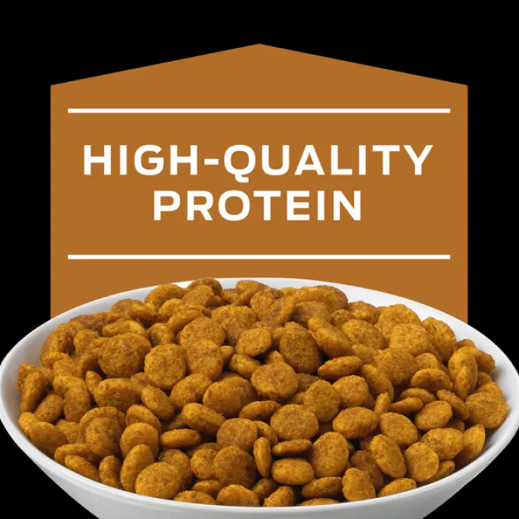 Pro Plan Veterinary Diets Feline NF Renal Advanced 1.5 Kg - Tratamiento Renal en Etapa Avanzada para Gatos