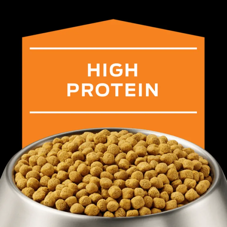 Pro Plan Veterinary Diets Canine OM Obesidad 2 Kg - Tratamiento del Sobrepeso para Perros