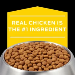 Pro Plan Veterinary Diets Canine NC Neurológico 2 Kg - Tratamiento Neurológico para Perros