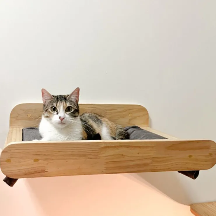 GoPet USA PussyCat Cama Hamaca Simple Grande para Gatos