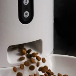 Qhalitech Comedero Automático con Cámara y Visión Nocturna